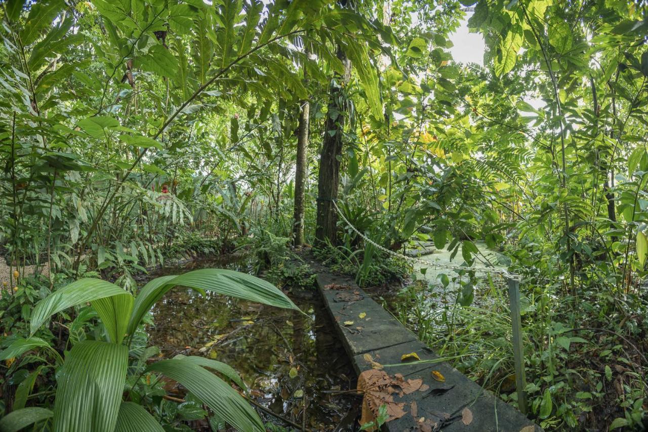 Cabanas Del Rio La Fortuna Zewnętrze zdjęcie