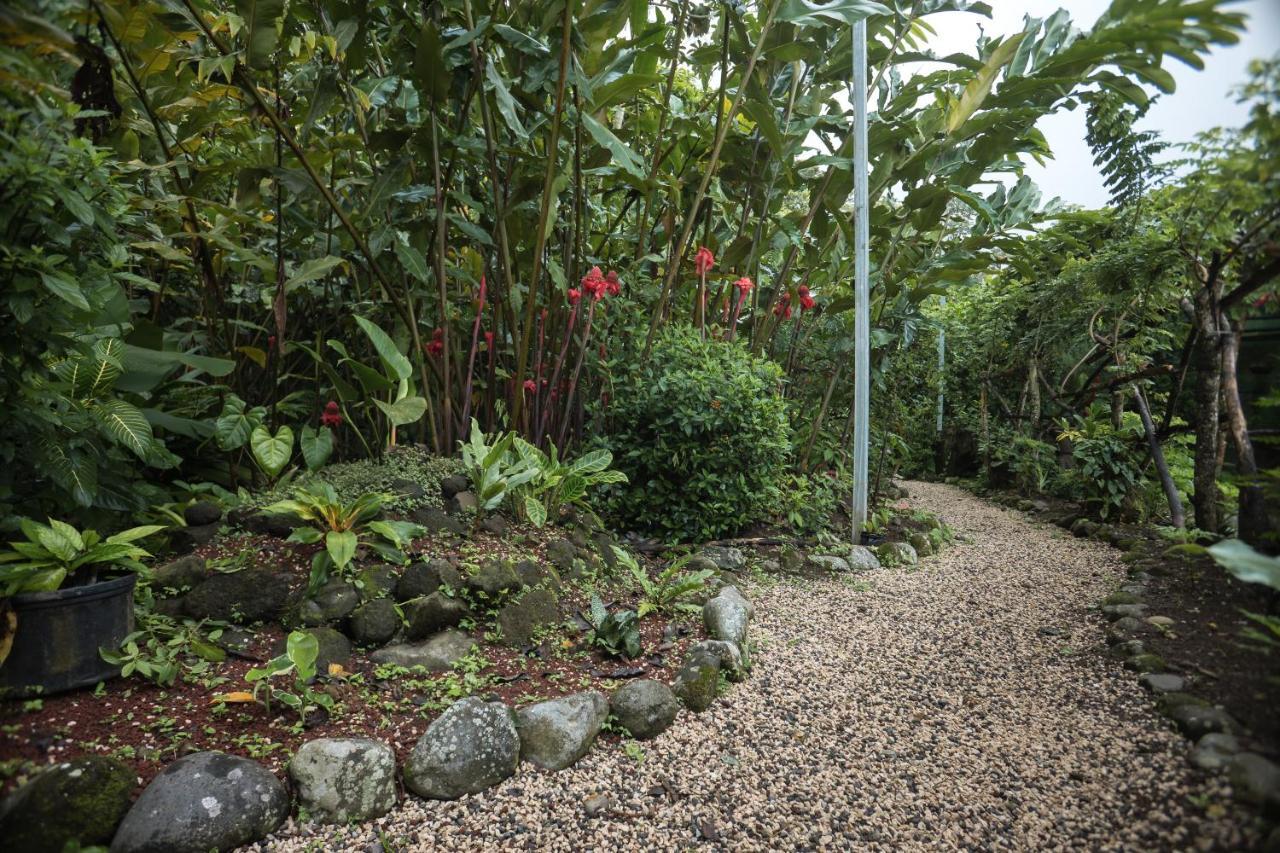 Cabanas Del Rio La Fortuna Zewnętrze zdjęcie