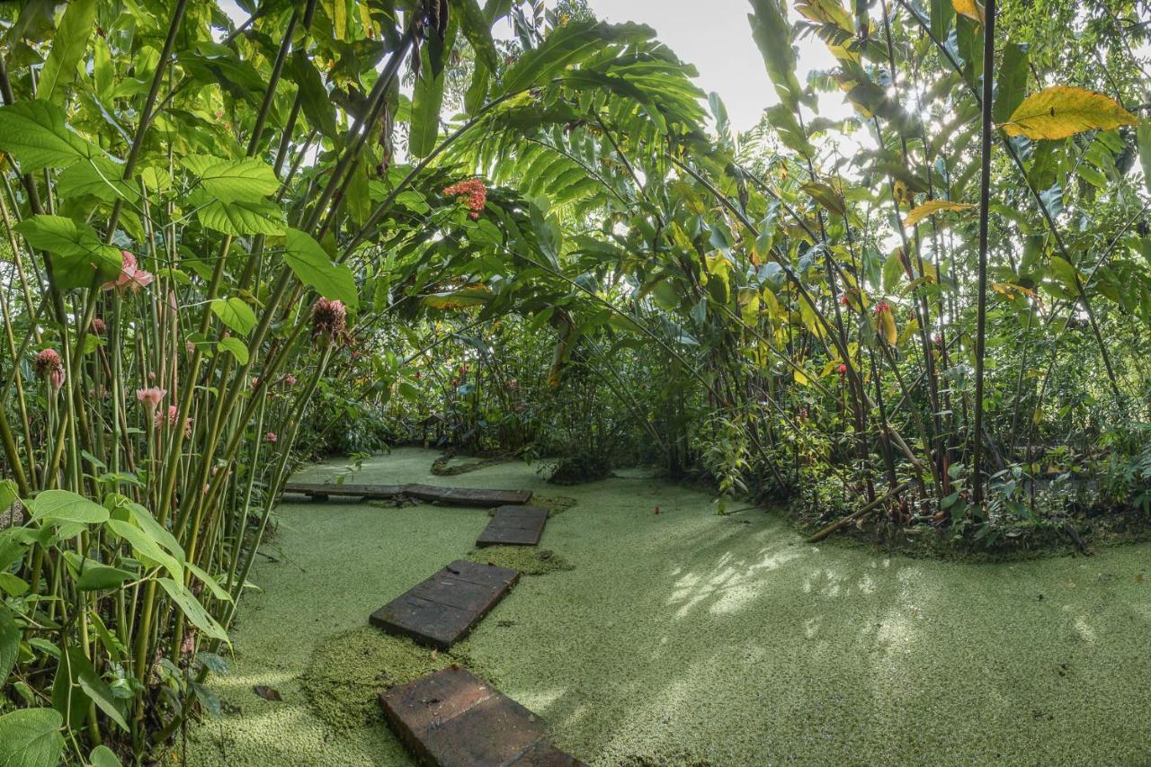 Aparthotel Cabanas Del Rio La Fortuna Zewnętrze zdjęcie