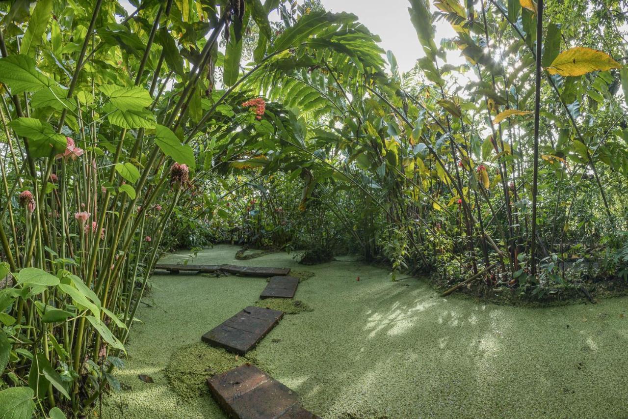 Cabanas Del Rio La Fortuna Zewnętrze zdjęcie