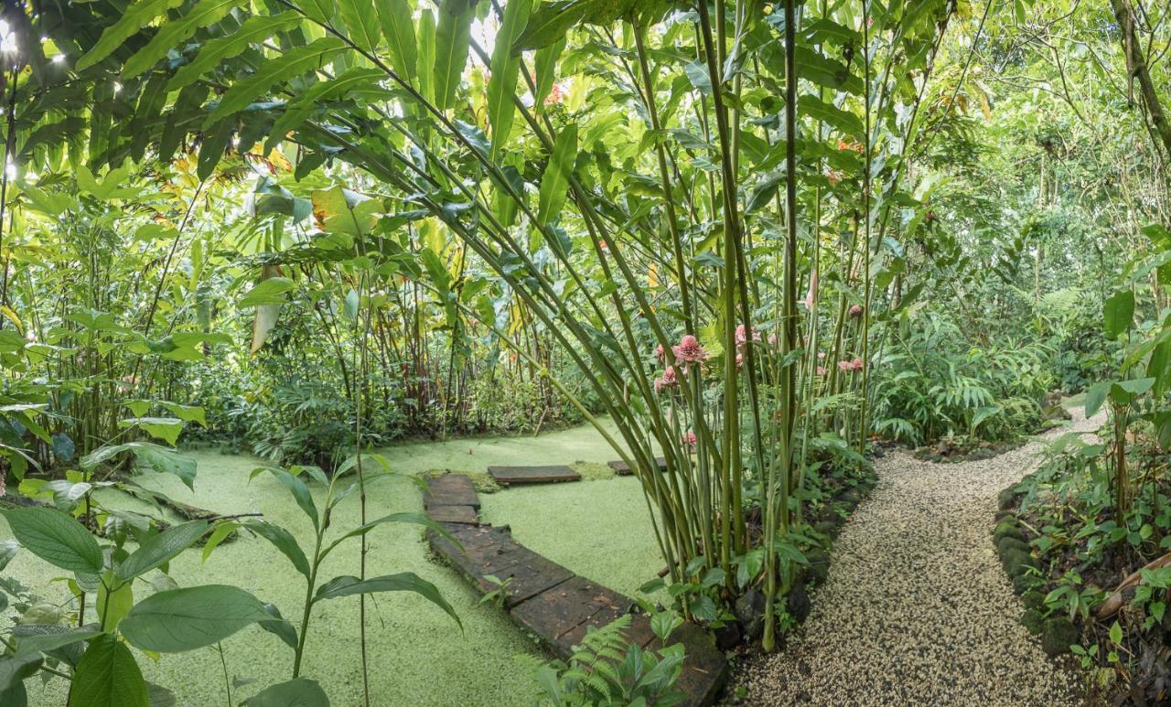 Cabanas Del Rio La Fortuna Zewnętrze zdjęcie