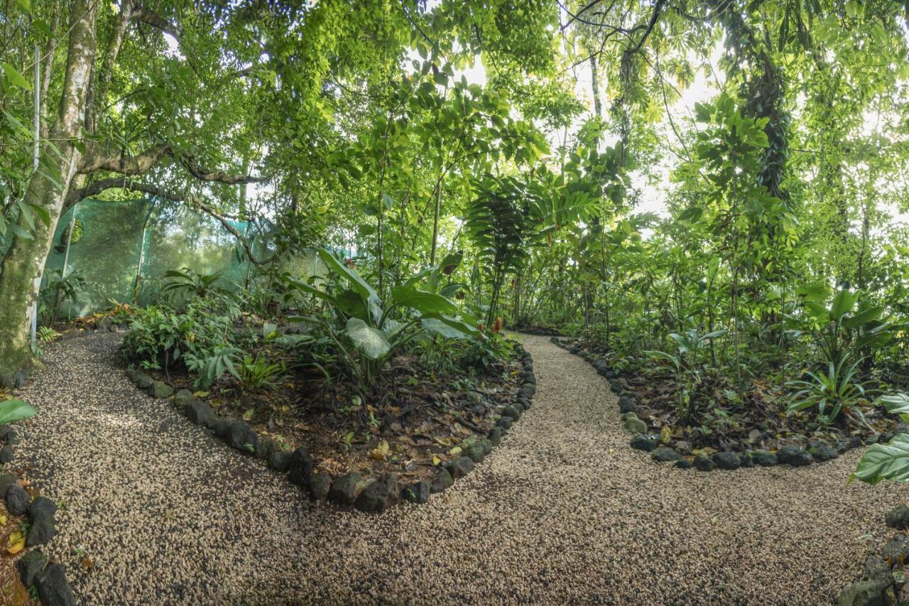 Cabanas Del Rio La Fortuna Zewnętrze zdjęcie
